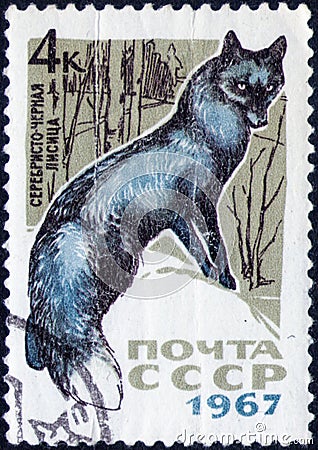 Saint Petersburg, Russia - February 06, 2020: Postage stamp issued in the Soviet Union with the image of the Silver Fox, Vulpes Editorial Stock Photo