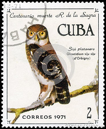 Saint Petersburg, Russia - November 12, 2020: Postage stamp issued in the Cuba with the image of theCuban Pygmy Owl, Glaucidium Editorial Stock Photo