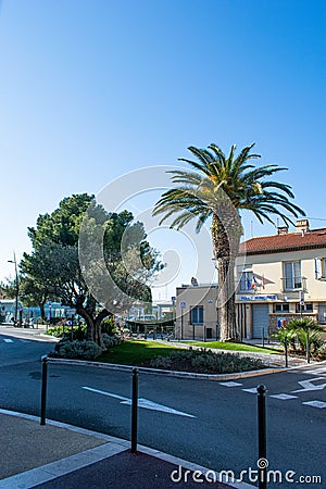 Saint Trope street with palm tree Editorial Stock Photo
