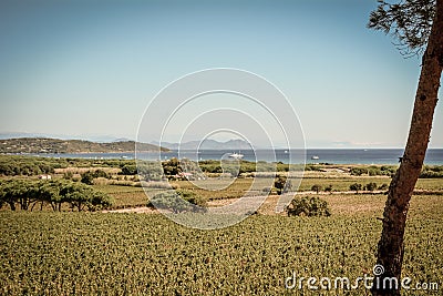 Landscape view in Saint-Tropez Stock Photo