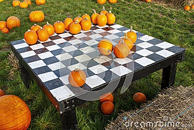 Saint-Zotique, Quebec, Canada, October 24th, 2021 : a checkers game with pumpkins Editorial Stock Photo