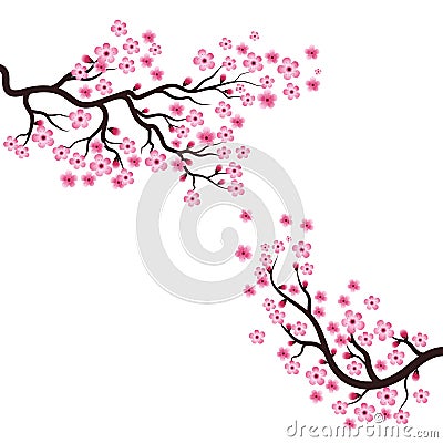 Sakura Beauty flower Vector icon Vector Illustration