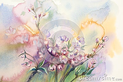 Sakura bloom watercolor Stock Photo