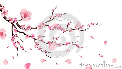 Sakura blossom branch. Falling petals, flowers. Isolated flying realistic japanese pink cherry or apricot floral Vector Illustration