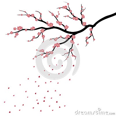 Sakura blossom, japanese cherry tree with falling petals Vector Illustration