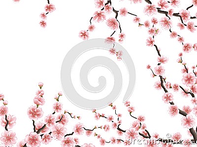 Sakura blossoms background. EPS 10 Vector Illustration