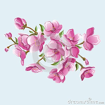 Sakura branch for greeting cards and greetings Vector Illustration