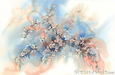 Sakura branches in bloom watercolor background Stock Photo