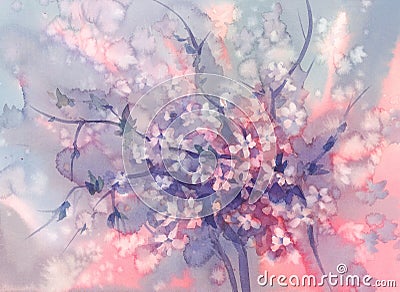 Sakura branches in bloom watercolor background Stock Photo