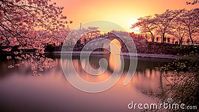 Sakura and bridge Stock Photo