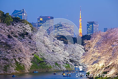 sakura cherry blossom light up and Tokyo Tower Stock Photo