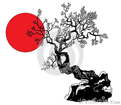 Cherry blossom flower of Japan.Outline and silhouette peach blossom. Vector Illustration