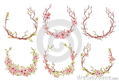 Sakura flowers watercolor illustration. Blossom petal wreath Cartoon Illustration