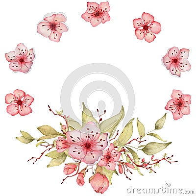Sakura flowers watercolor illustration. Blossom petal wreath Cartoon Illustration