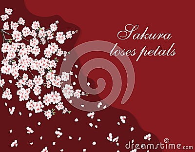 Sakura. Greeting card. A lush cherry branch with pink flowers. The inscription loses petals. Isolated on a dark Vector Illustration