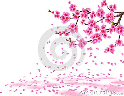 Sakura. A lush cherry branch with purple flowers loses petals. Isolated on white background. illustration Vector Illustration