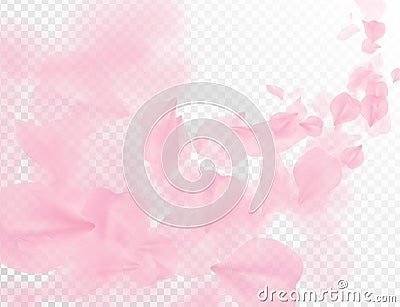 Sakura petal flying vector background. Pink flower petals wave illustration isolated on transparent white. 3D romantic valentines Vector Illustration