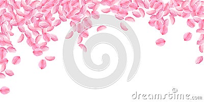 Sakura petals falling down. Romantic pink bright big flowers. Thick flying cherry petals. Wide falli Vector Illustration