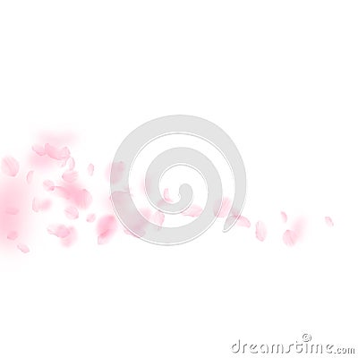 Sakura petals falling down. Romantic pink flowers comet. Flying petals on white square background. L Vector Illustration