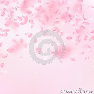 Sakura petals falling down. Romantic pink flowers falling rain. Flying petals on pink square backgro Stock Photo