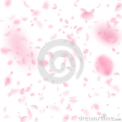 Sakura petals falling down. Romantic pink flowers falling rain. Flying petals on white square background. Vector Illustration
