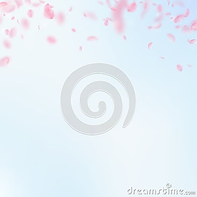 Sakura petals falling down. Romantic pink flowers gradient. Flying petals on blue sky square backgro Vector Illustration