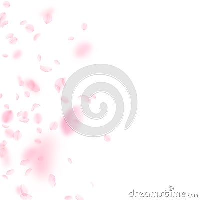 Sakura petals falling down. Romantic pink flowers Vector Illustration