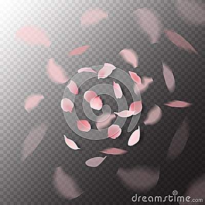 Sakura petals falling on vector transparent background. Flying pink floral blossoms. Vector Illustration