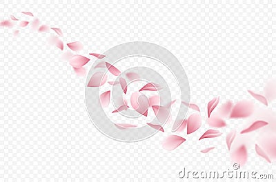 Sakura Realistic Background Vector Illustration