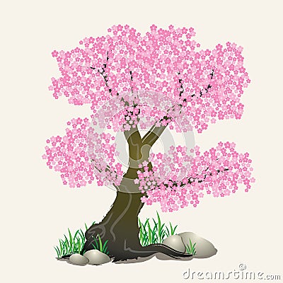 Sakura tree. Vector Illustration