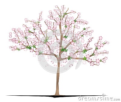 Sakura Tree Vector Illustration