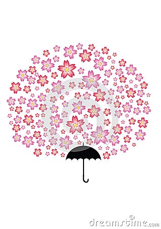 Sakura Umbrella Tree Stock Photo