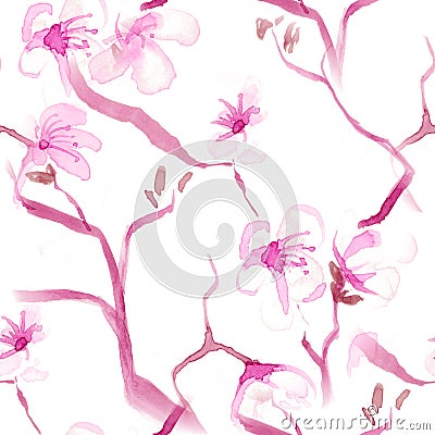 Sakura Watercolor. White Blossom Leaf. Pink Stock Photo
