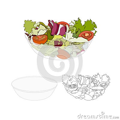 Salad Bowl Healthy Food Vector Illustration