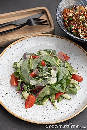 Salad with cherry tomatoes, cucumbers and arugula and bowl with tasty rice, meat and vegetables Stock Photo