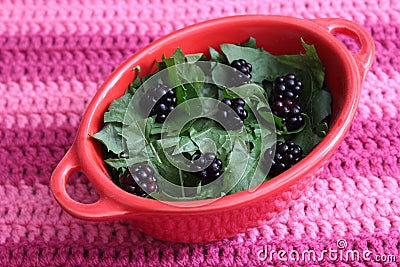 Salad of dandelion Stock Photo