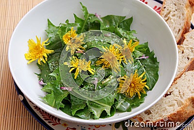 Salad of dandelion Stock Photo