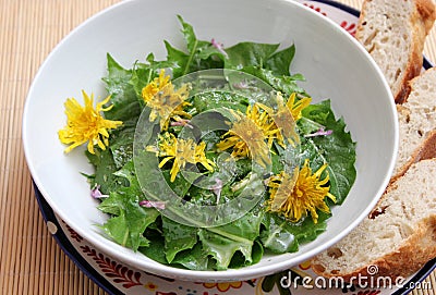 Salad of dandelion Stock Photo