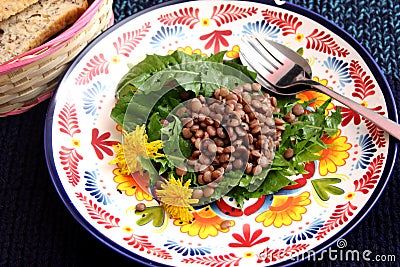Salad of dandelion and lentils Stock Photo