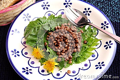 Salad of dandelion and lentils Stock Photo