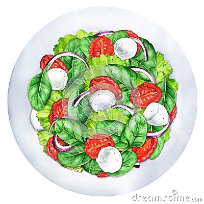 Salad with dried tomatoes and mozzarella cheese Cartoon Illustration