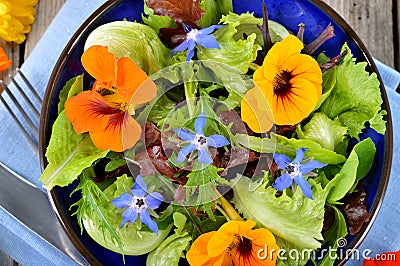 Salad with edible flowers nasturtium, borage. Stock Photo