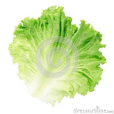 Salad leaf Stock Photo