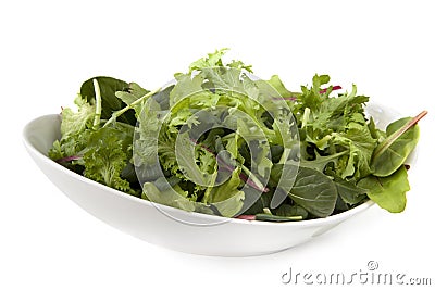 Salad Leaves Stock Photo