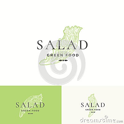 Salad Lettuce Abstract Vector Sign, Symbol or Logo Template. Premium Vegetable or Green Food Emblem. Hand Drawn Salad Vector Illustration