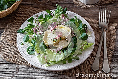 Salad with marinated goat cheese and fresh radish sprouts Stock Photo