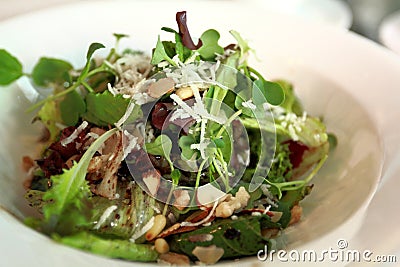 Salad meal Stock Photo