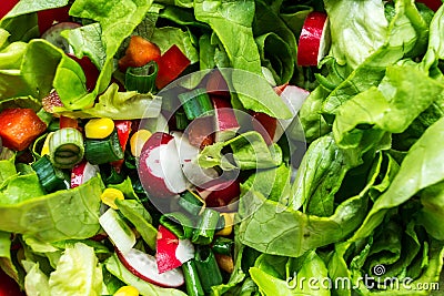 Healthy fresh salad Stock Photo