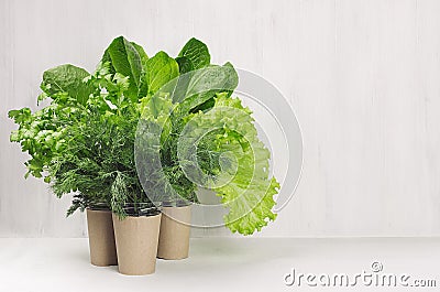 Salad, spinach, dill, parsley in craft pots on white wood shelf, copy space. Healthy food. Stock Photo