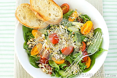 Salad with sprouts Stock Photo